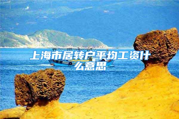 上海市居转户平均工资什么意思