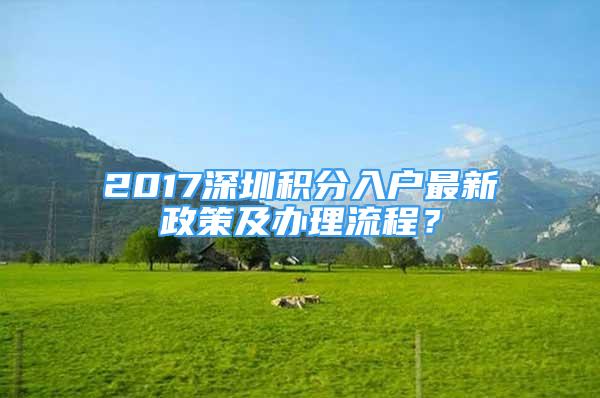 2017深圳积分入户最新政策及办理流程？