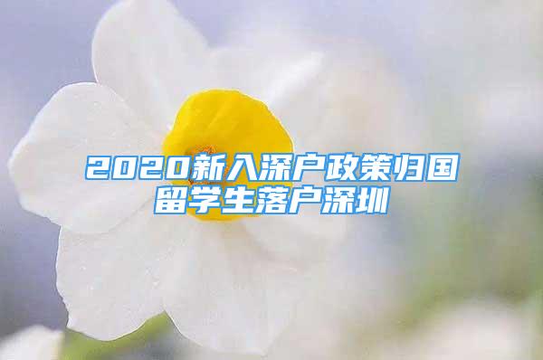 2020新入深户政策归国留学生落户深圳