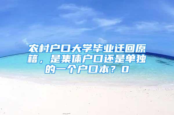 农村户口大学毕业迁回原籍，是集体户口还是单独的一个户口本？0