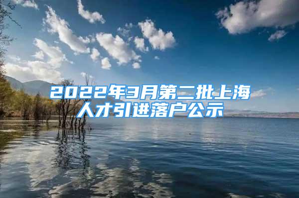 2022年3月第二批上海人才引进落户公示