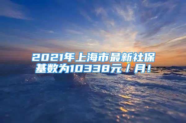 2021年上海市最新社保基数为10338元／月！