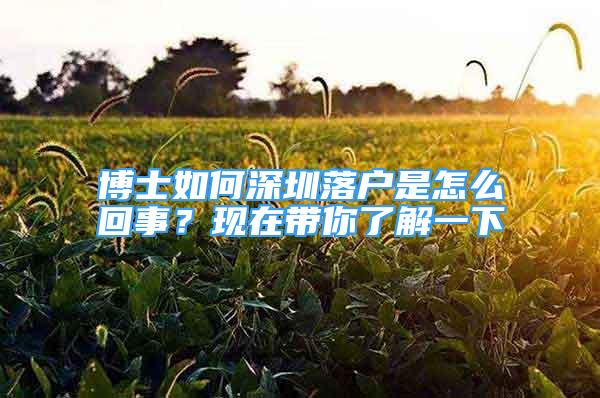 博士如何深圳落户是怎么回事？现在带你了解一下