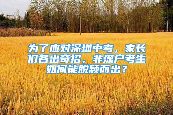 为了应对深圳中考，家长们各出奇招，非深户考生如何能脱颖而出？