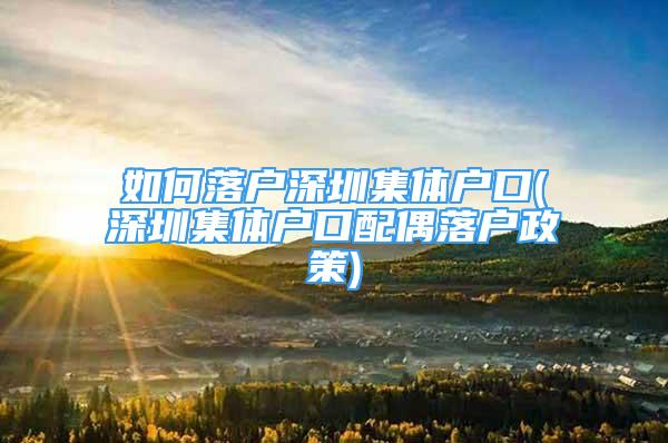 如何落户深圳集体户口(深圳集体户口配偶落户政策)