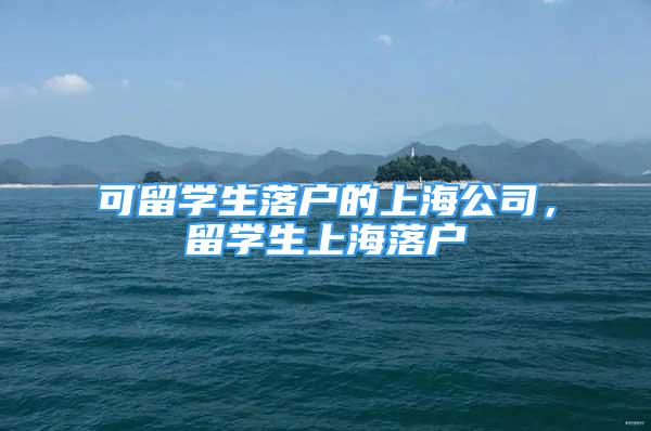 可留学生落户的上海公司，留学生上海落户