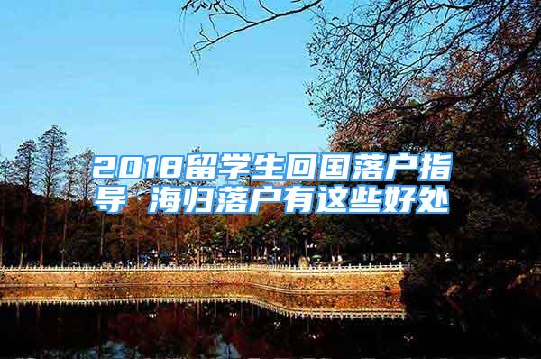 2018留学生回国落户指导 海归落户有这些好处