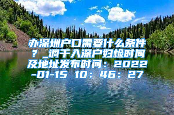 办深圳户口需要什么条件？_调干入深户妇检时间及地址发布时间：2022-01-15 10：46：27