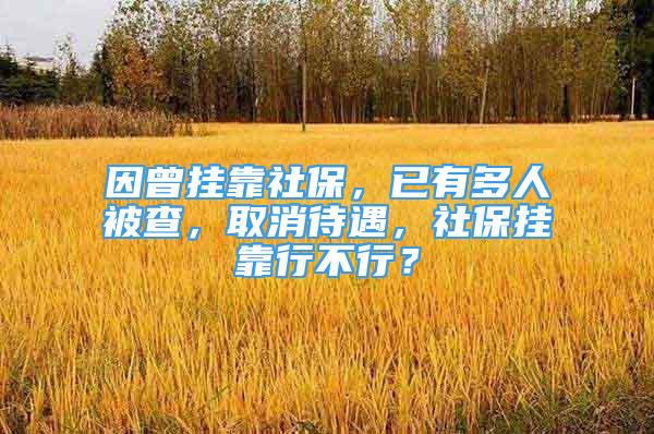 因曾挂靠社保，已有多人被查，取消待遇，社保挂靠行不行？