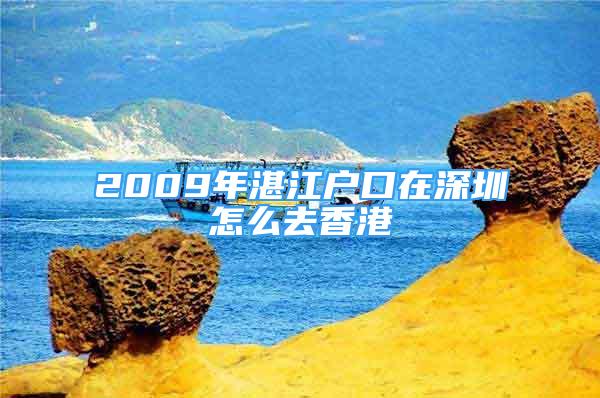 2009年湛江户口在深圳怎么去香港