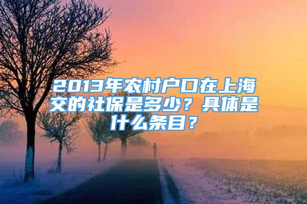 2013年农村户口在上海交的社保是多少？具体是什么条目？