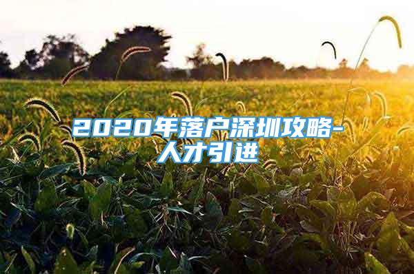 2020年落户深圳攻略-人才引进