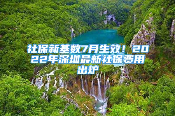 社保新基数7月生效！2022年深圳最新社保费用出炉