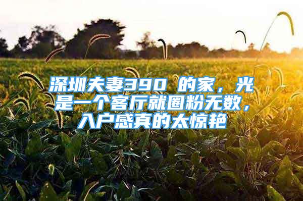 深圳夫妻390㎡的家，光是一个客厅就圈粉无数，入户感真的太惊艳