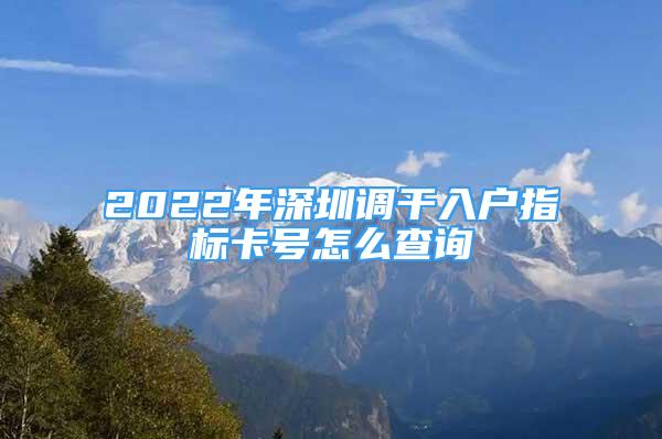 2022年深圳调干入户指标卡号怎么查询