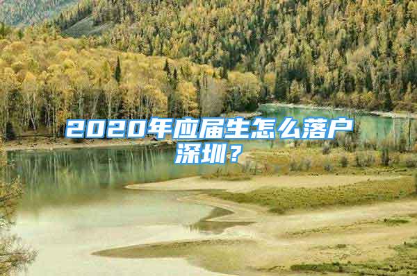 2020年应届生怎么落户深圳？