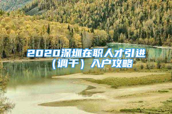 2020深圳在职人才引进（调干）入户攻略