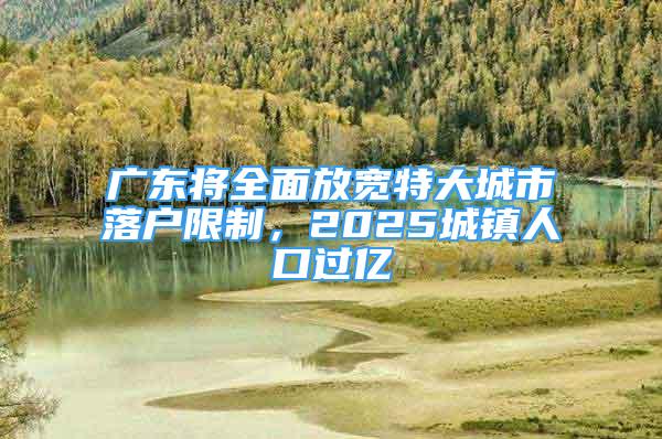 广东将全面放宽特大城市落户限制，2025城镇人口过亿