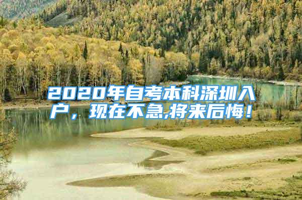 2020年自考本科深圳入户，现在不急,将来后悔！