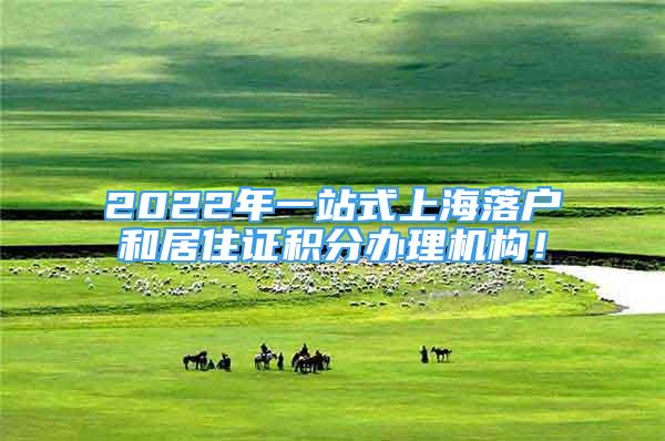 2022年一站式上海落户和居住证积分办理机构！