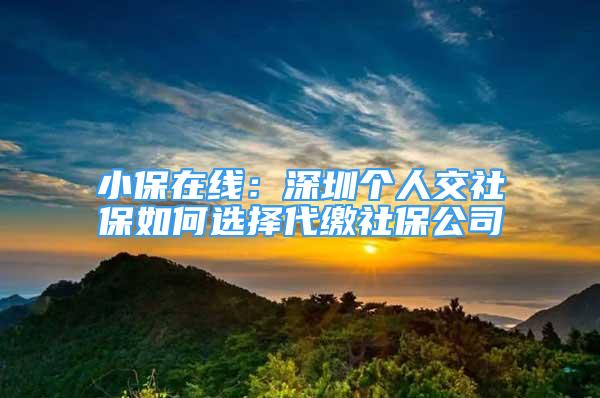 小保在线：深圳个人交社保如何选择代缴社保公司