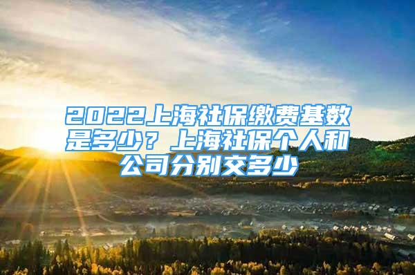 2022上海社保缴费基数是多少？上海社保个人和公司分别交多少