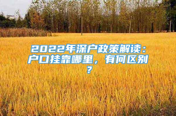 2022年深户政策解读：户口挂靠哪里，有何区别？