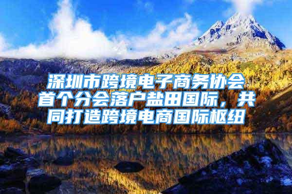 深圳市跨境电子商务协会首个分会落户盐田国际，共同打造跨境电商国际枢纽