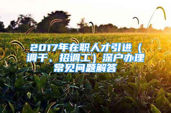 2017年在职人才引进（调干、招调工）深户办理常见问题解答