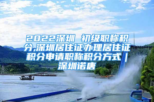 2022深圳 初级职称积分,深圳居住证办理居住证积分申请职称积分方式｜深圳诺唐