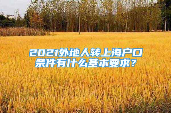 2021外地人转上海户口条件有什么基本要求？