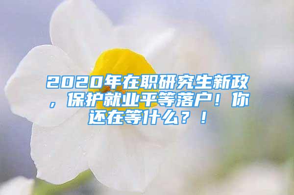 2020年在职研究生新政，保护就业平等落户！你还在等什么？！