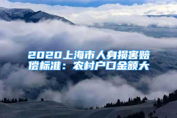 2020上海市人身损害赔偿标准：农村户口金额大