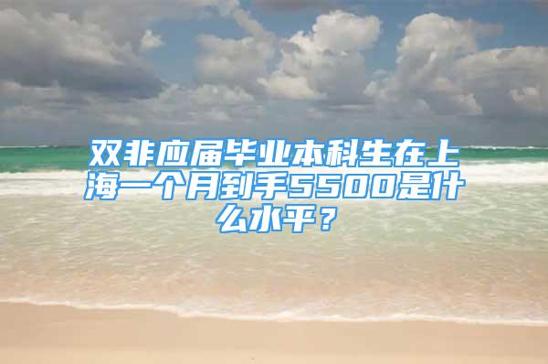 双非应届毕业本科生在上海一个月到手5500是什么水平？