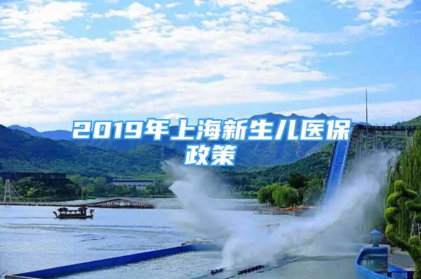 2019年上海新生儿医保政策