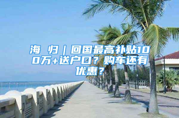 海 归｜回国最高补贴100万+送户口？购车还有优惠？