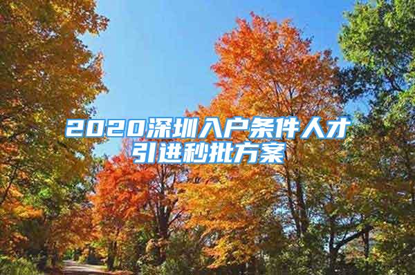 2020深圳入户条件人才引进秒批方案