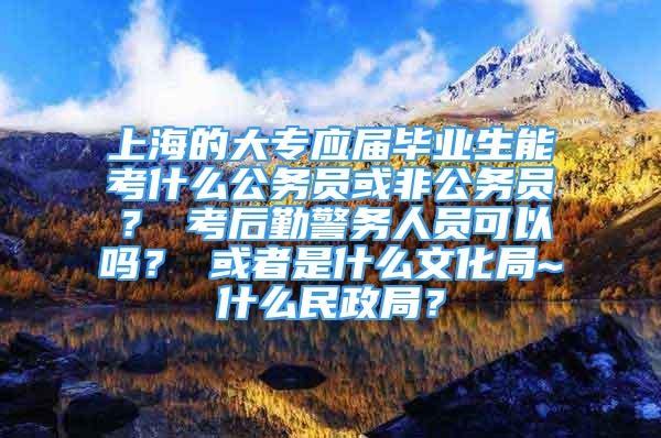 上海的大专应届毕业生能考什么公务员或非公务员？ 考后勤警务人员可以吗？ 或者是什么文化局~什么民政局？