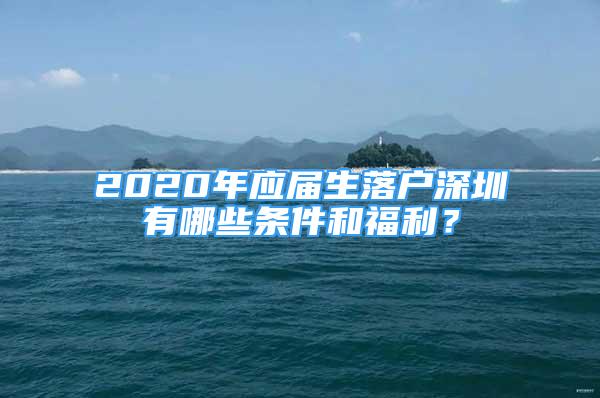 2020年应届生落户深圳有哪些条件和福利？