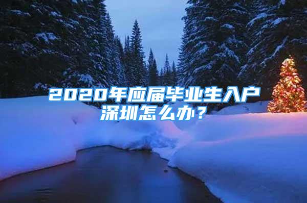 2020年应届毕业生入户深圳怎么办？