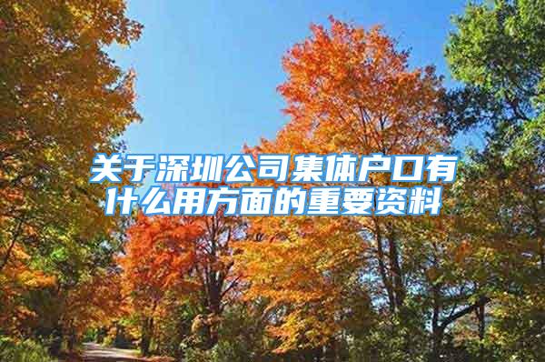 关于深圳公司集体户口有什么用方面的重要资料