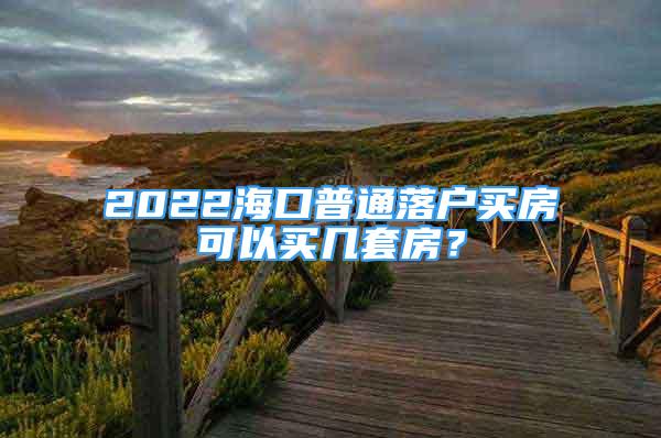 2022海口普通落户买房可以买几套房？