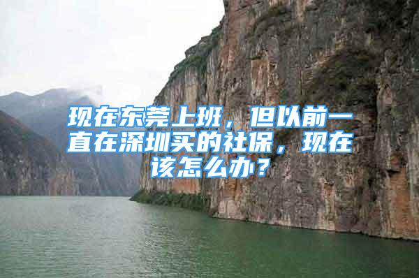 现在东莞上班，但以前一直在深圳买的社保，现在该怎么办？