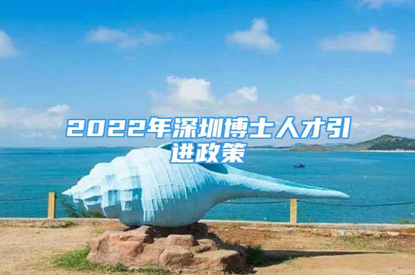 2022年深圳博士人才引进政策