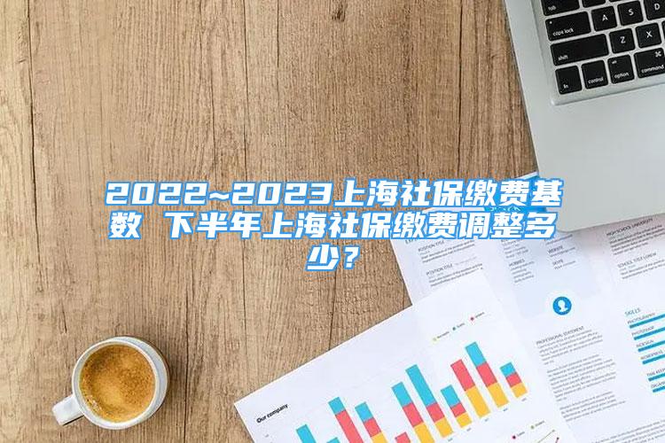 2022~2023上海社保缴费基数 下半年上海社保缴费调整多少？