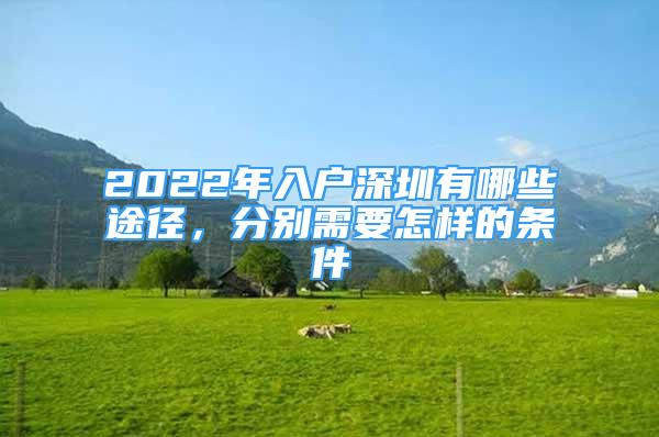 2022年入户深圳有哪些途径，分别需要怎样的条件