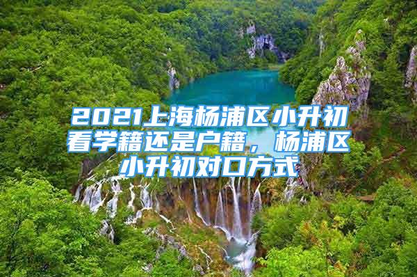 2021上海杨浦区小升初看学籍还是户籍，杨浦区小升初对口方式