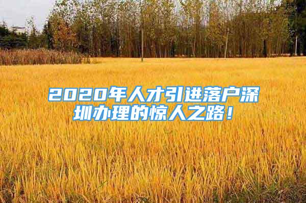 2020年人才引进落户深圳办理的惊人之路！