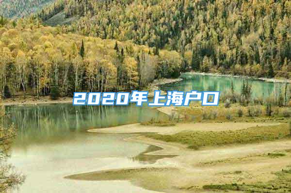 2020年上海户口