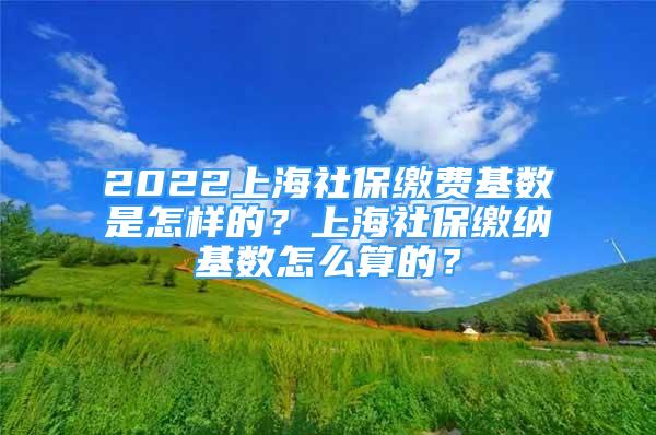 2022上海社保缴费基数是怎样的？上海社保缴纳基数怎么算的？